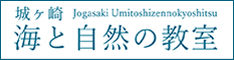 城ヶ崎 海と自然の教室